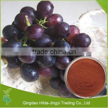 Supply 100% natural grape seed extract from china