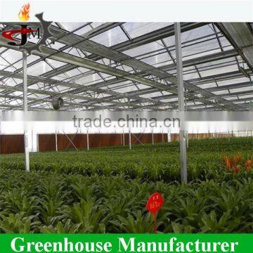 Large Scale Multi-span PC Sheet/board Greenhouse for Flower Plant photo-5