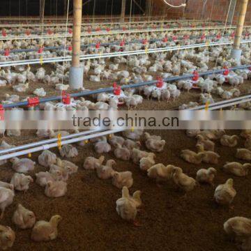 Broiler Poultry Farm Design photo-6
