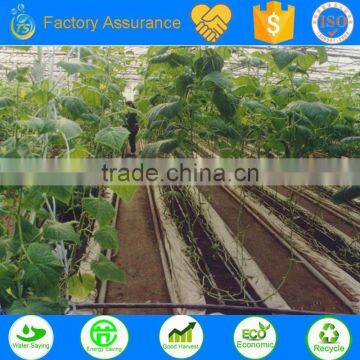 TS Irrigation Build the Garden Lateral Irrigation System in Watering Kits photo-2