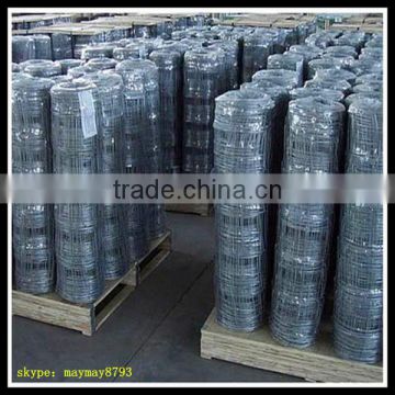 (ISO9001)Manufacture Galvanized Filed fence/Grassland fence in China