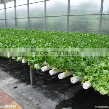 Large Multi-span Fiberglass Commercial Greenhouse,garden Greenhouse,flower Greenhouses photo-2