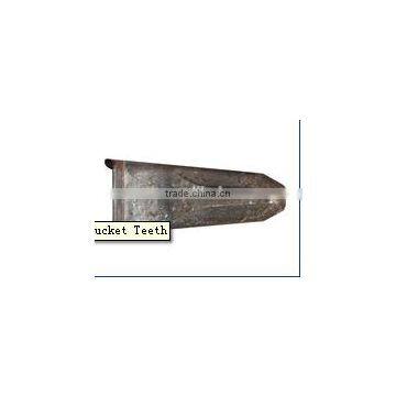 Forging Teeth photo-3