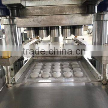 Hot press machine for making ceramic tablets with factory price