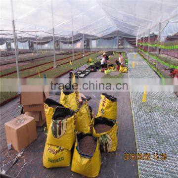 Farm Greenhouse With AL Frame and Fiberglass photo-5