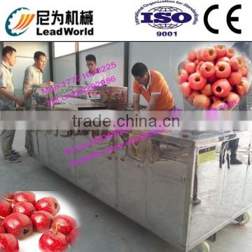 hot sale and high efficiency green plum pitting machine