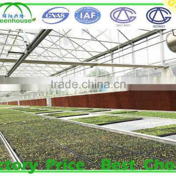 Agricultural Glass Greenhouse for Sale photo-6