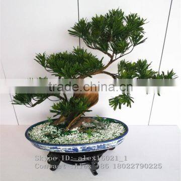 Wholesale Artificial Home Bonsai Tree for Sale Live Cypress Tree photo-3