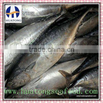 frozen bonito fish 150-200g