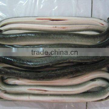 Frozen Eel