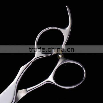 High Quality Stainless Steel and Professional Pet Groming Scissors photo-2