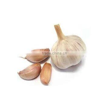Garlic Oil photo-2