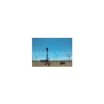 Magnetic Wind Turbine 3000W / Vertical Axis Wind Generators CXF-3000