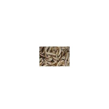 Dehydrated mushroom slice