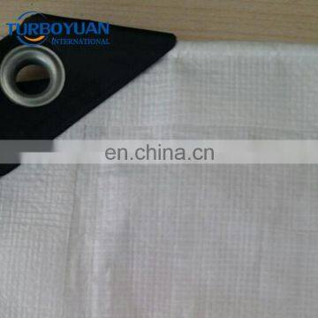 150/200 micron tree cherry rain covers / hdpe reinforced polyethylene film / uv treated greenhouse cover woven fabric film