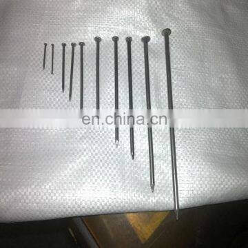Steel Polished Smooth Shank Wood Common Wire Nail