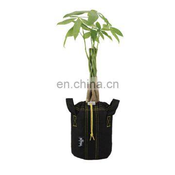 Factory OEM Product Grow Bags photo-4