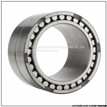 Fersa F19035 cylindrical roller bearings