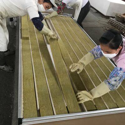 For Cold Room Foam Sandwich Panels Sandwich Panel Container House