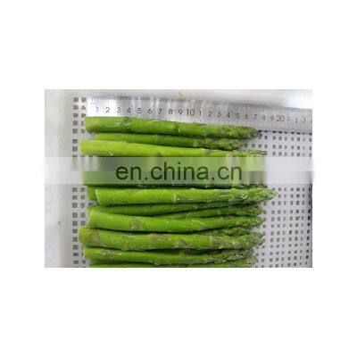 Factory Supply 500g/1kg/2kg/10kg/20kg Green or White Chopped Frozen Asparagus Convenient