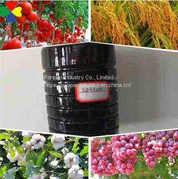 China Supplier Agriculture Natural Seaweed Extract Extract Fertilizer Seaweed Black Granules Best Price photo-3