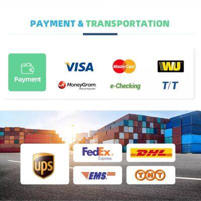 Wholesale Bulk Price 100% Pure EUCALYPTUS Essential Oil (new) Relax Aromatherapy Eucalyptus Globulus photo-5