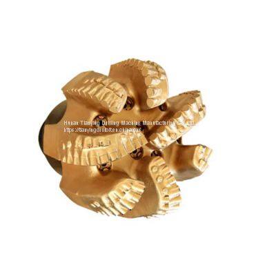 Pdc Bit, Pdc Drill Bit, Diamond Bit for Oil Drilling photo-5