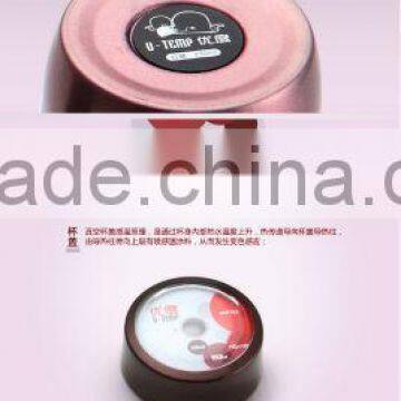 Insulated Bottle,sport Bottle,stainless Steel Vacuum Cup photo-5