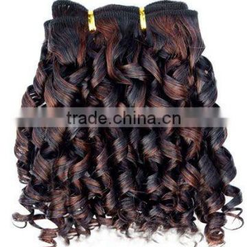 New Fashion Afro Styles Human Hair Extension Oprah Curl