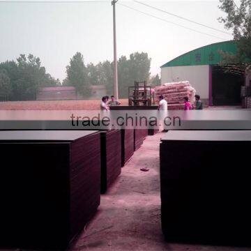 Buy Cheap Film Faced Plywood photo-5