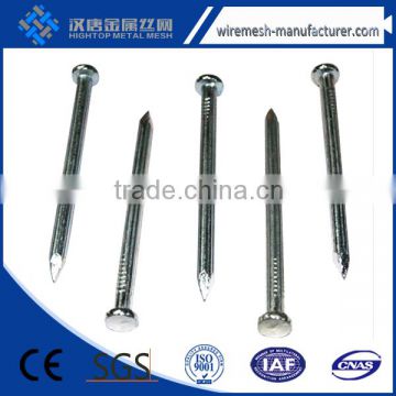 Electro Galvanized Concrete Nails With Plain Shank