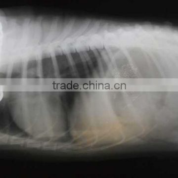 thermal x ray film, medical x ray film of suppliers of hospital products