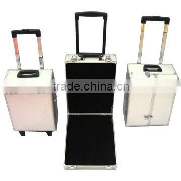 Aluminum Trolley Travel Case (ZYD-HZ796)