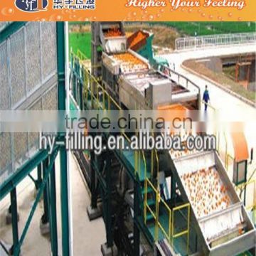 PET Bottled Fruit Juice Drink Production Line