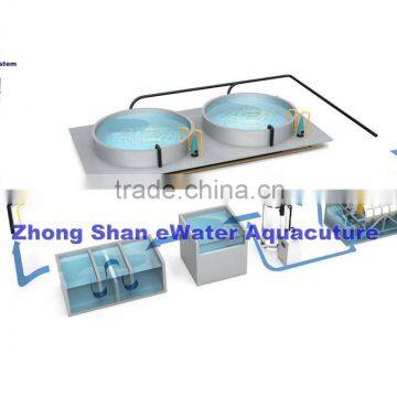 Seawater RAS/Recirculating aquaculture system layout for tilapia fish farming