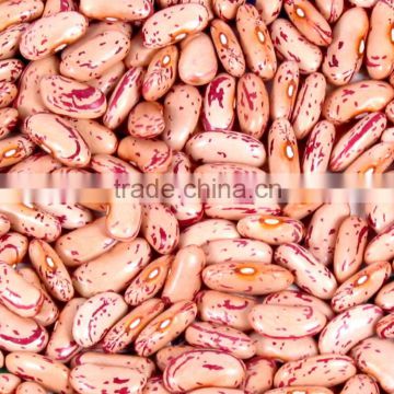 Red Speckled Kidney Beans