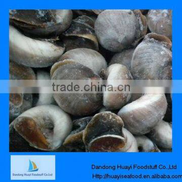 cheap frozen yummy moon snail good taste