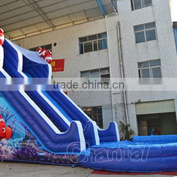 Commercial inflatable Nemo cartoon water slide with pool, giant inflatable water slide for sale                        
                                                Quality Choice