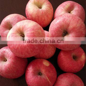 Red Color Fuji apple Fresh Style fruits fresh fuji apple fruit for sale Fuji apple exporter in China
