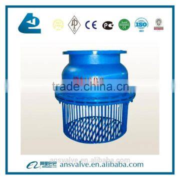 Cast Iron Foot Valve photo-6