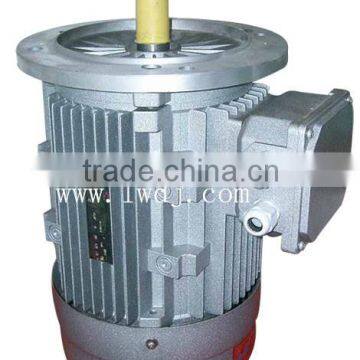 YE2 small electric motors