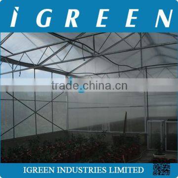 Single Span Polycarbonate Sheet Greenhouse for Orchid photo-2