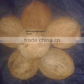 Organic Coconuts Exporter