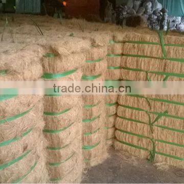 Coconut Fiber 2016 in Vietnam (qq : 2598494113) photo-2