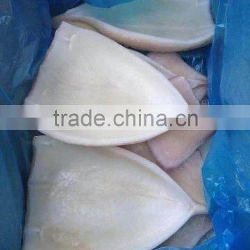 2016 new coming Squid fillet for market