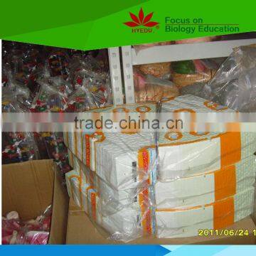 Low Priced Human Cardiac Cycle and Size Cycle Electic Model photo-6