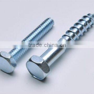 DIN571 Hex head coach screws self color