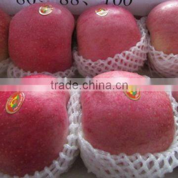 Fuji Apple of Apple Varieties