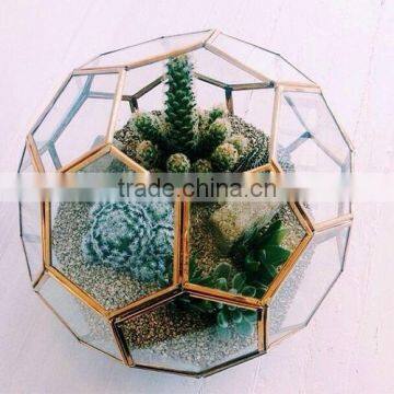 Home Decorating Geometric Glass Plant Terrarium Glass Vase.Rose gold rectangular glass greenhouse flowers