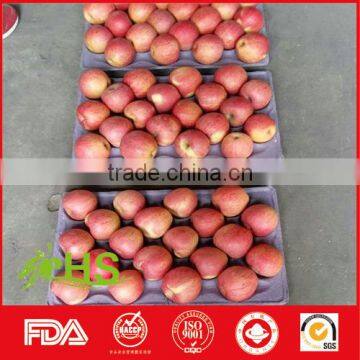 Chinese hot sale fresh red fuji apple export